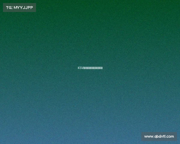 KSV电竞豪门:全新征程蓄势待发 KSV电竞豪门:全新征程蓄势待发